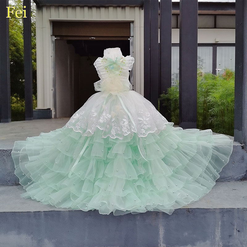 Pet Clothes Photography Dress  - Photography Lighting For Clothing review and price