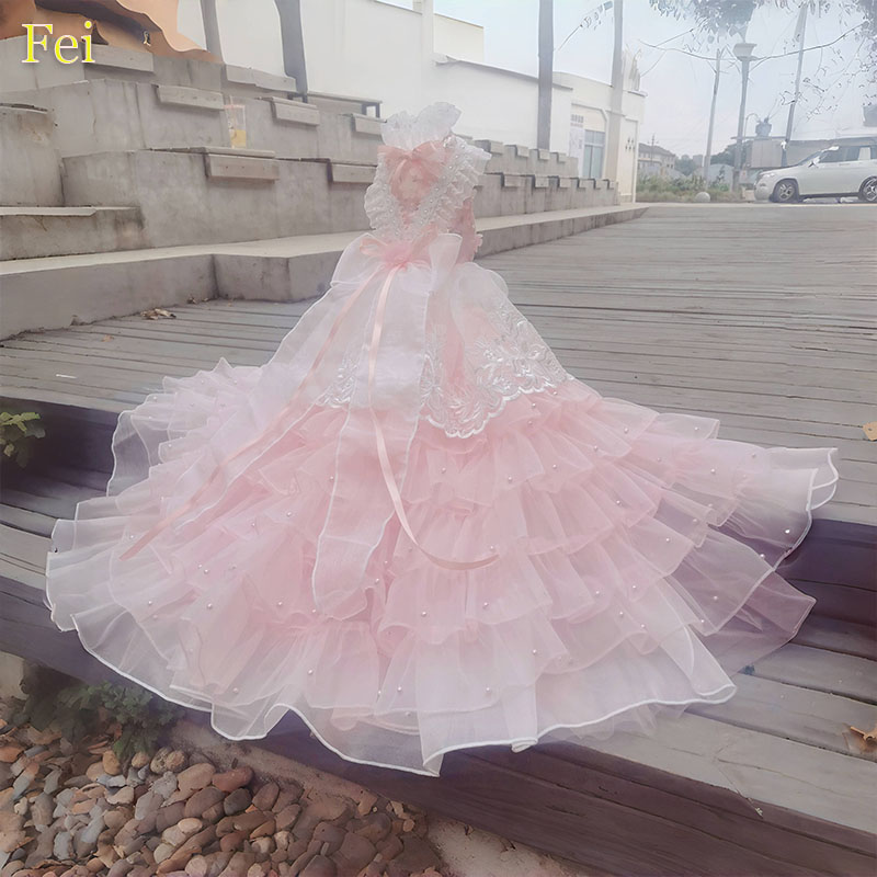 Pet Clothes Photography Dress  - Photography Lighting For Clothing review and price