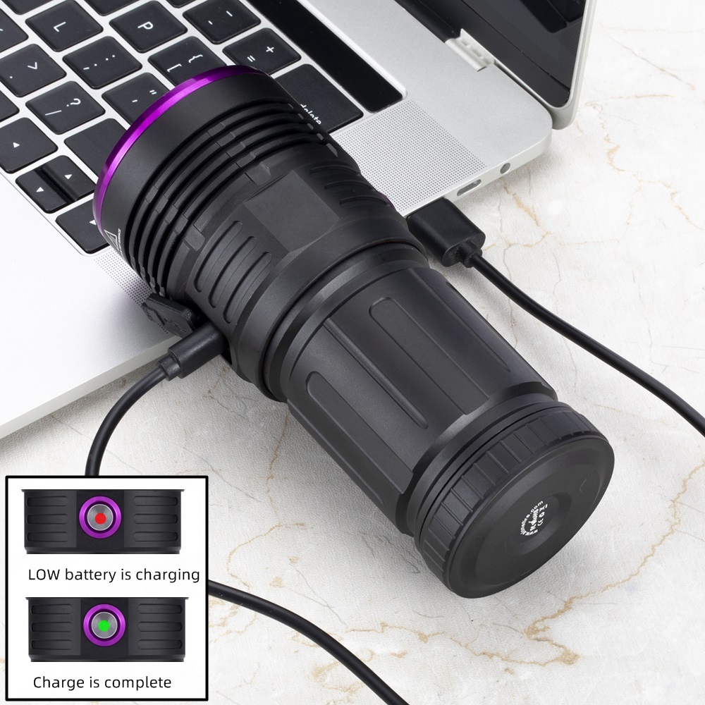 80W 365nm UV Flashlight Ultrav - Photography Lighting For Food review and price