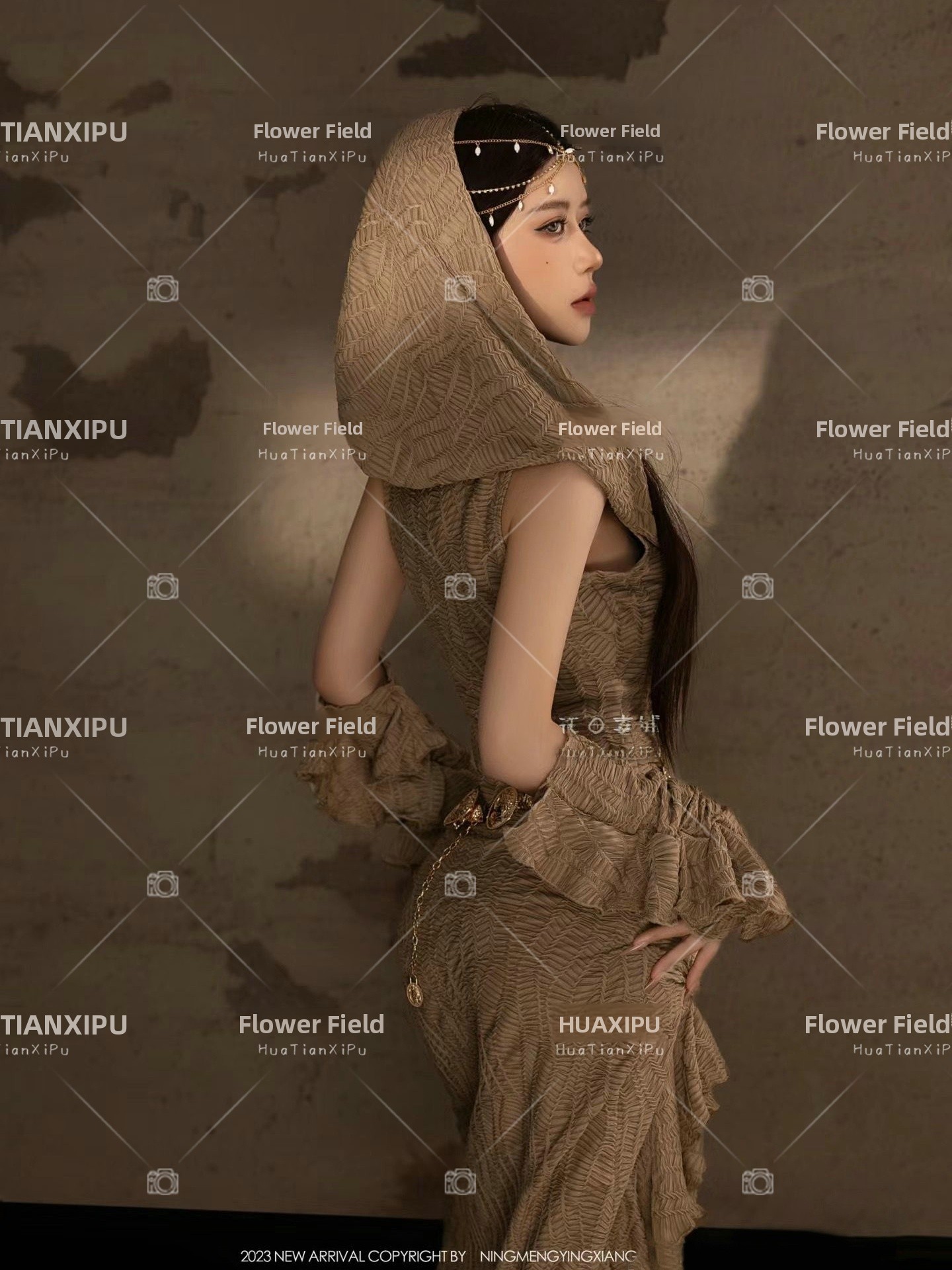 New Desert  Princess Style Pho - Photography Lighting For Clothing review and price