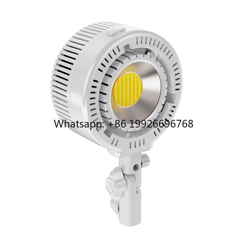 R200 Dual-Color COB LED Light  - Photography Lighting For Clothing review and price