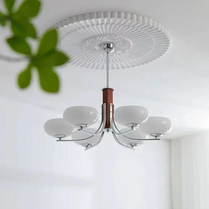 Nordic Retro  LED Chandelier f - Photography Lighting For Food review and price